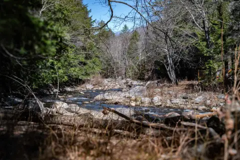 Wentworth Land with River Frontage