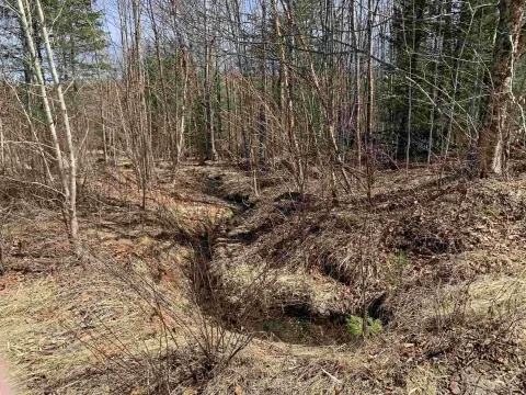 10.5 Acres Wooded Land Parcel