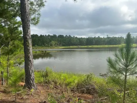 Waterfront Acreage in Ochlocknee, Georgia