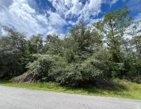 Citrus Springs Land For Sale