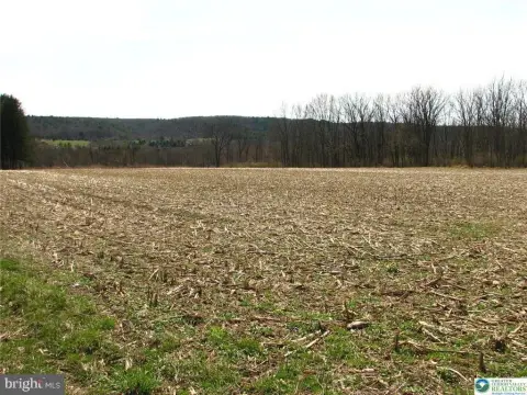 35+ Acre Land Parcel