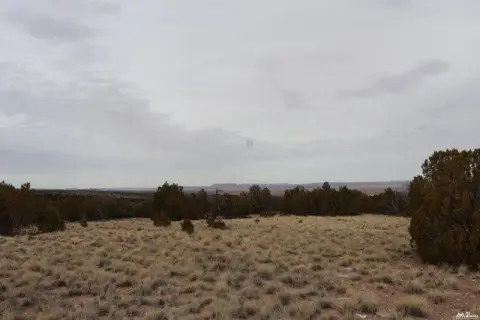 Raw Recreational Land