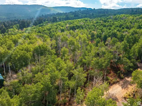 Wooded Mountain Home Lot