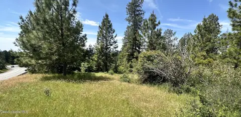 Versatile Acreage in Coeur d'Alene