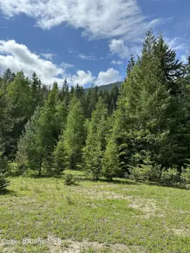 80 Acres in Clark Fork