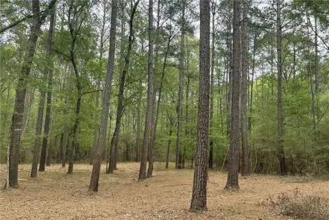 Residential Land with Road Frontage