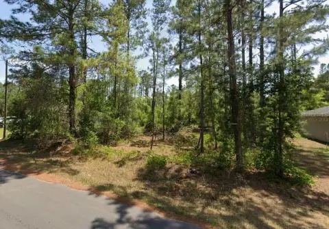 Residential Land in Silver Springs