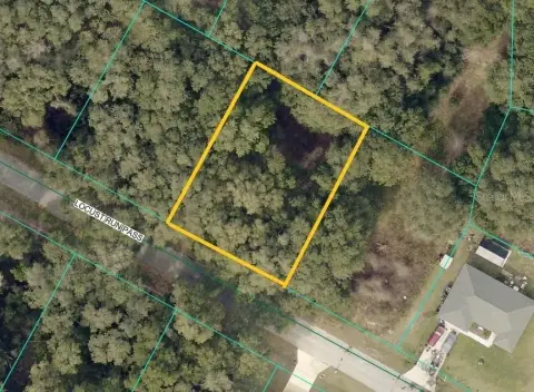 Wooded Lot in Silver Springs