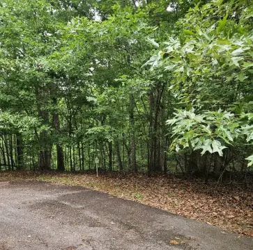Residential Lot in Chickasaw Point