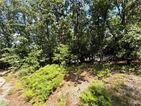 Buildable Residential Lot with Flexible Access