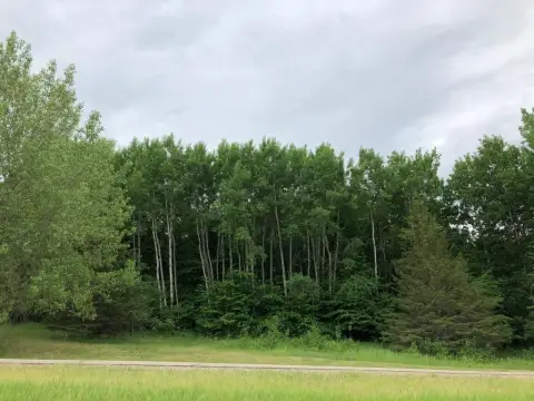 Wooded Lot Near Lake Koronis