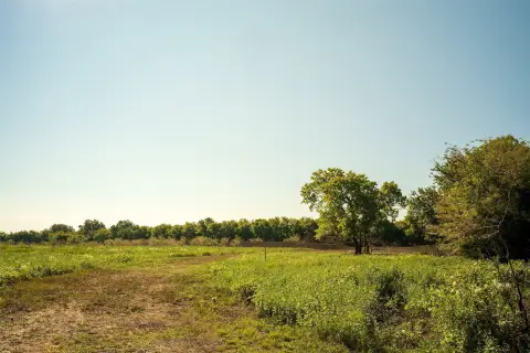 Recreational Hunting Land Tract