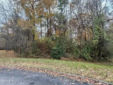Residential Lot in Hillendale Subdivision