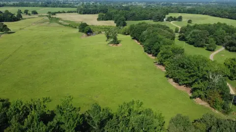 Recreational Farmland Tract with Pond