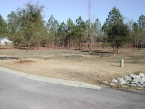 Commercial Development Land Across Carolina Palms