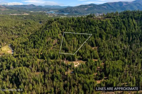Wooded Recreational Land Parcel