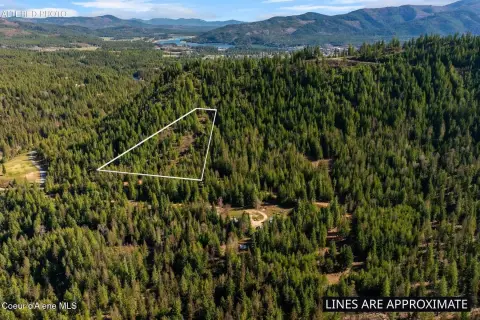 Wooded Recreational Land Parcel