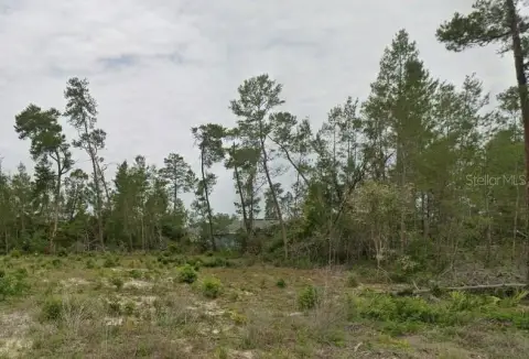 Vacant Land in Ocala, FL