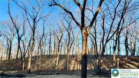 Wooded Land in Upper Macungie