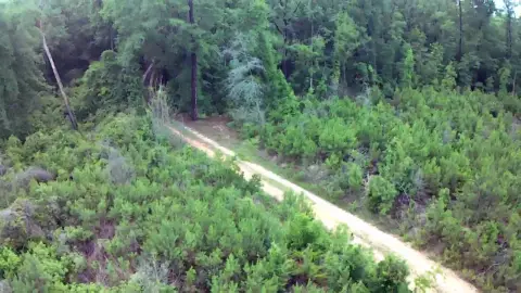 Recreational Hunting Land Tract