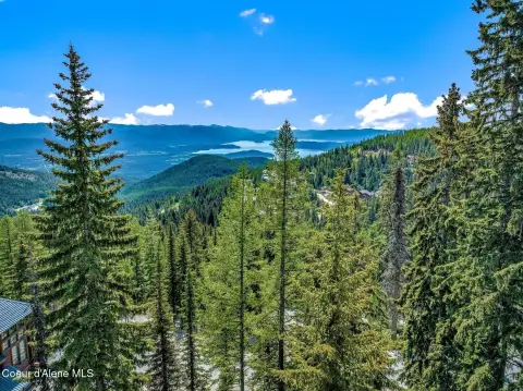 Mountain Homesite with Survey Package