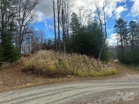 Buildable Lot in The Vines