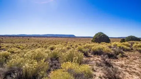 Hunting Land with Mountain Views