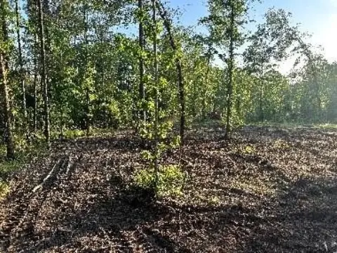 East Texas Land Near Lake