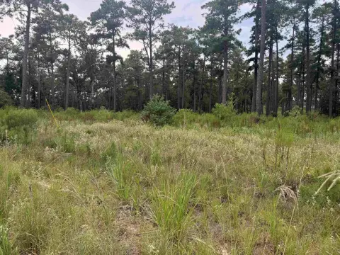 Waterfront Acreage in Brookeland, Texas