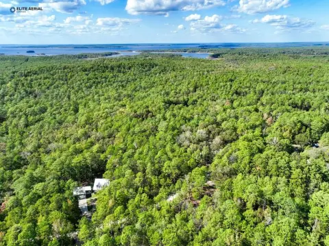 Homesite in Rayburn Country