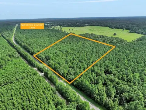Lufkin Land with Wooded Acreage