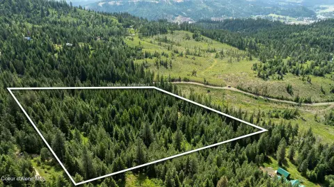 Secluded Treed Land Near St. Maries