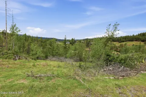 Residential Land in Silver Valley