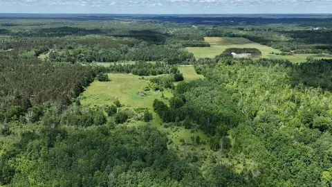 Recreational Hunting Land with Wetlands
