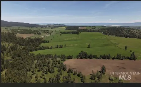 Ranch-Style Agricultural Land