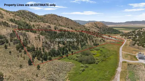 Recreational Hunting Land Tract