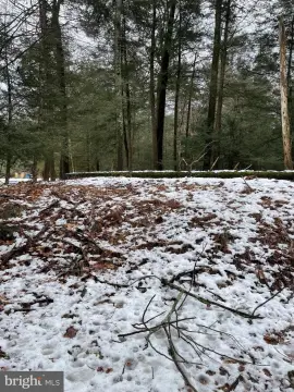 Cleared Lot in Holiday Pocono