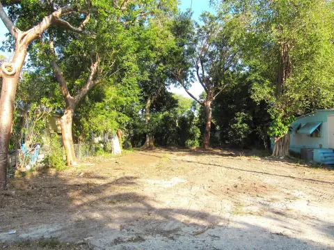Cleared Land in Key Largo