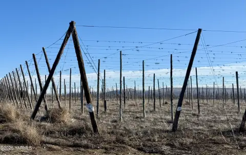 Toppenish Land with Water Rights