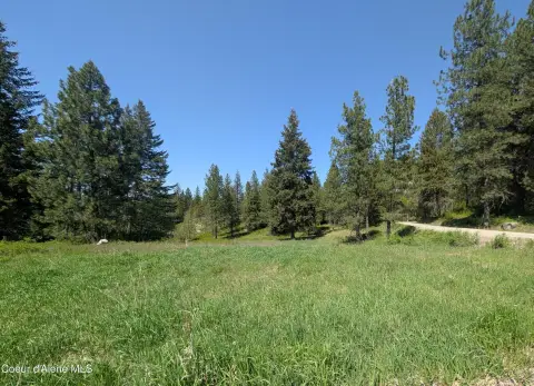 Bonners Ferry Land with USFS Access