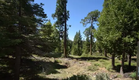 Shaver Lake Land Opportunity