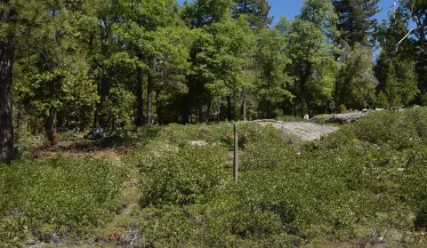 Land in Quartz Mountain