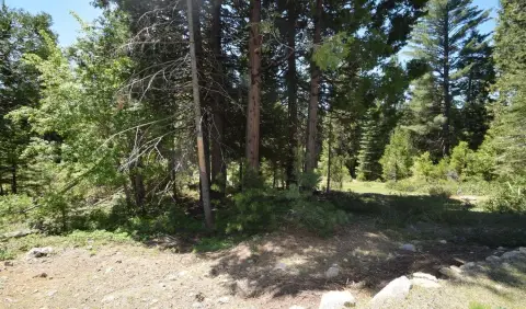 Shaver Lake Land Opportunity