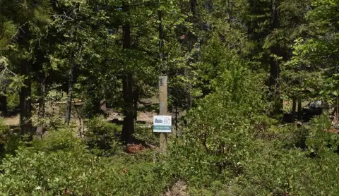 Shaver Lake Land For Sale