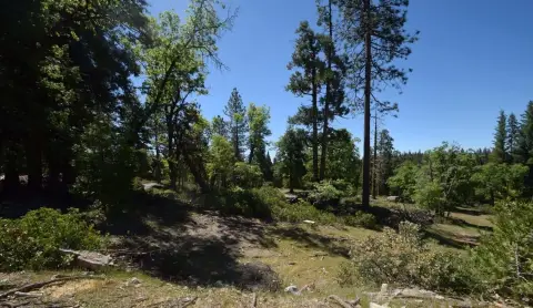 Shaver Lake Land Opportunity