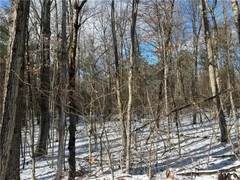 Schenevus Land for New Home