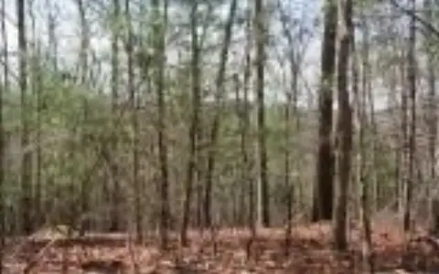 Wooded Lot in Private Setting