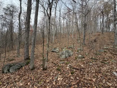 30 Acres Near Omni Homestead