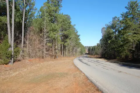 287-Acre Investment Property in Rutledge