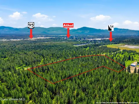 Flat, Wooded Land Near Silverwood
